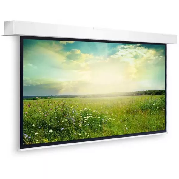 Экран встраиваемый с электроприводом Projecta Descender Large 227″