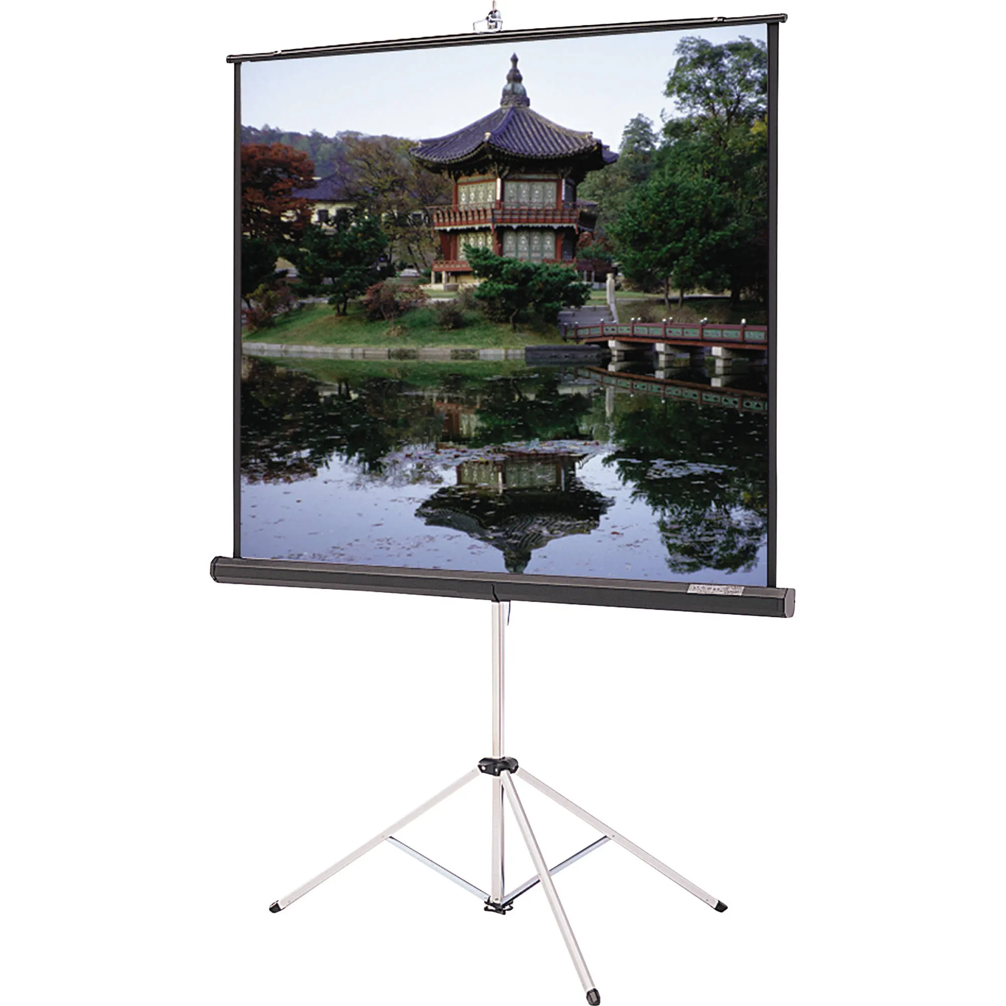 Экран мобильный ViewScreen Clamp Pro (4:3) 171×128 (165×122) MW