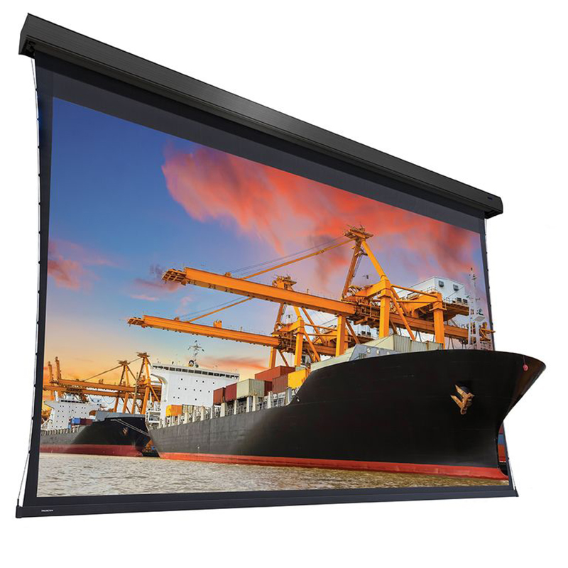 Экран с электроприводом Projecta Extensa 274″