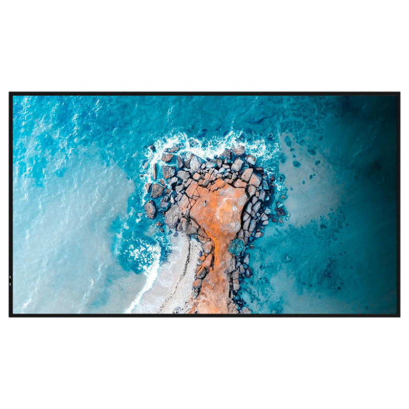 Информационный дисплей 55″ Hisense 55DM66D